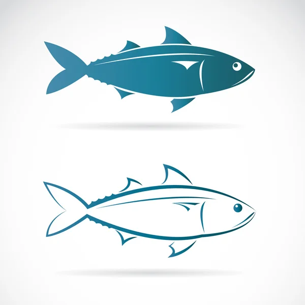 Vector image of an mackerel — Stock Illustration Vector image of an mackerel Vector Graphics