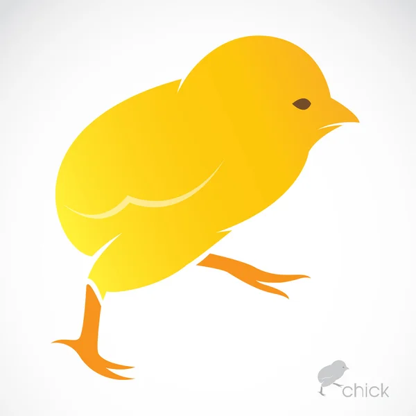 Vector image of an chick — Stock Vector