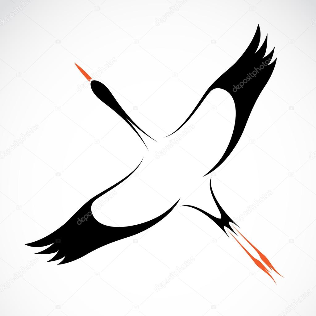 Vector image of an stork 