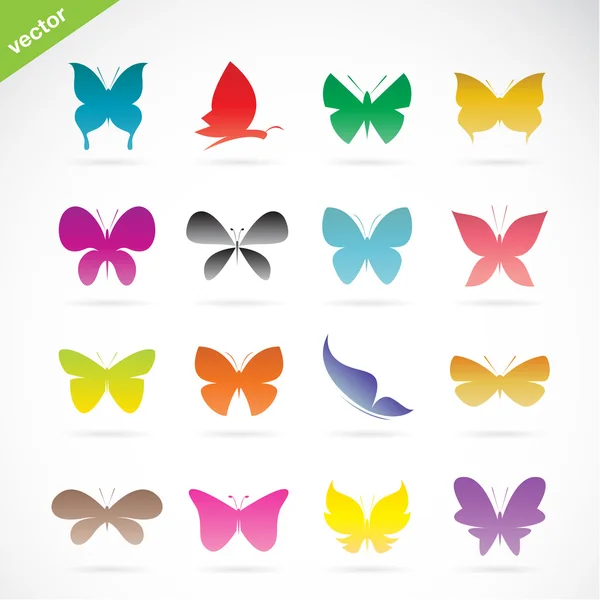 Grupo vectorial de mariposas coloridas — Vector de stock