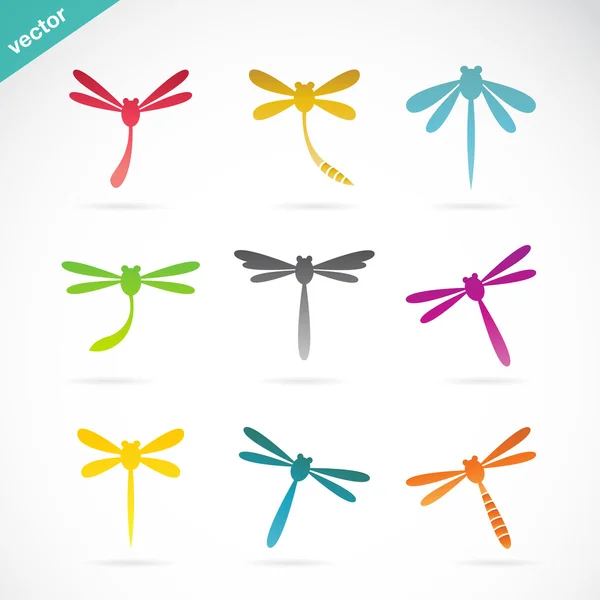 Vector group of colorful dragonfly — Stock Vector