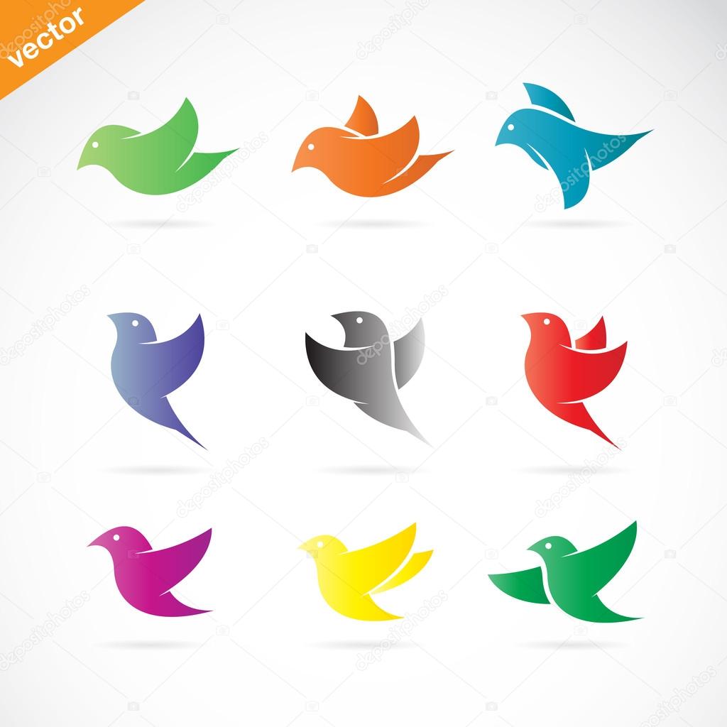 Vector group of colorful bird on white background