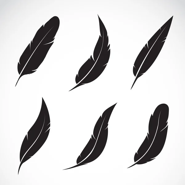 Grupo vectorial de plumas — Archivo Imágenes Vectoriales