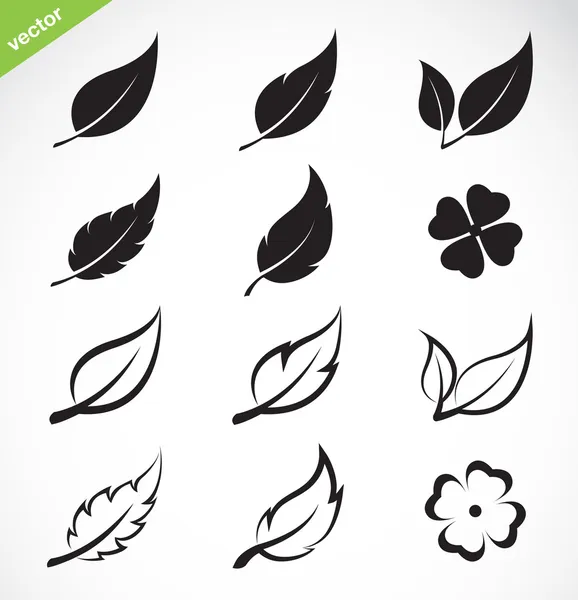 Vector leaves icon set — Stock Vector