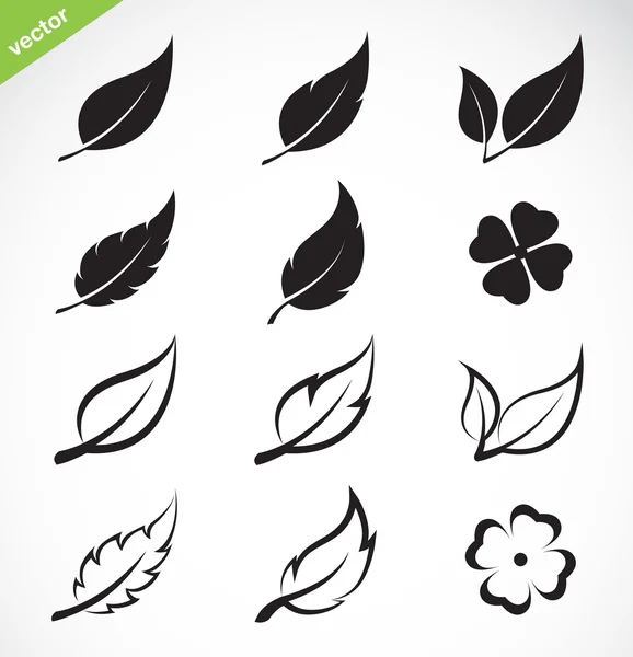 Vector Icon set bırakır 