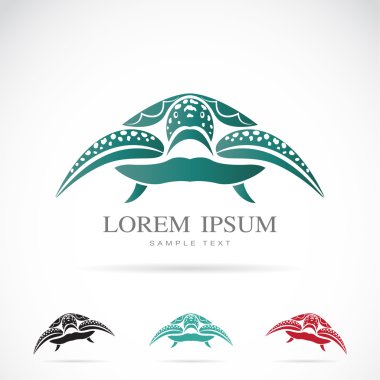 bir kaplumbağa vektör görüntü 