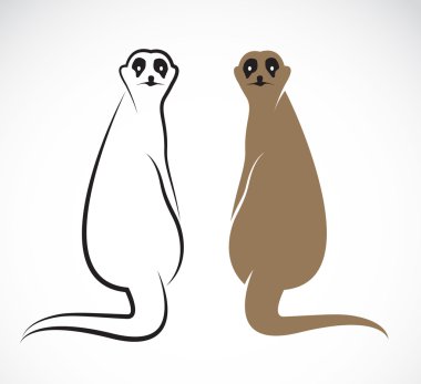 Vector image of an meerkat  clipart