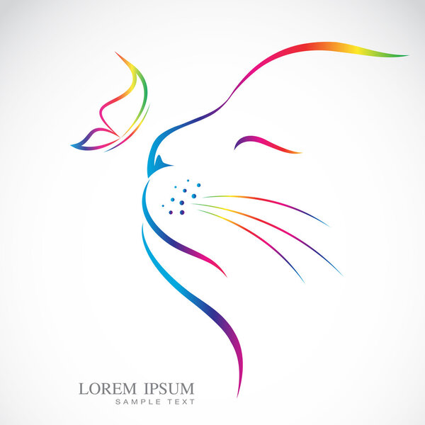 Vector image of cat and butterfly on white background