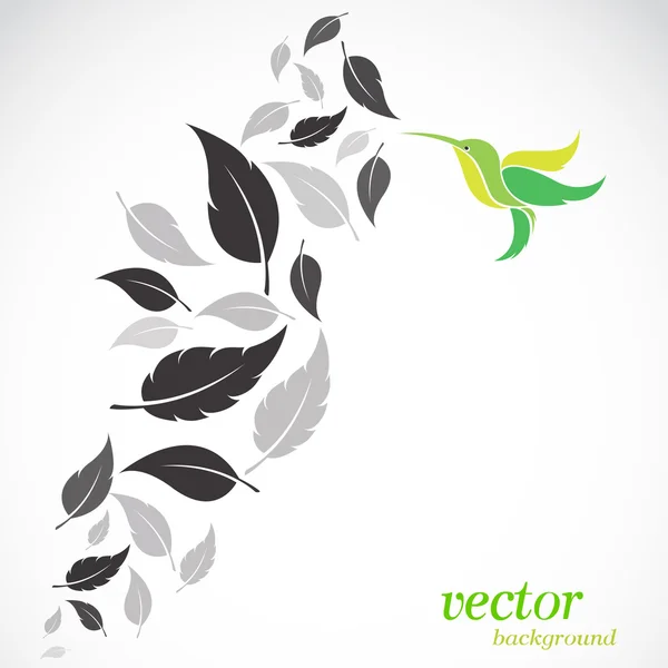 Abstract  leaves and hummingbirds — Stock Vector
