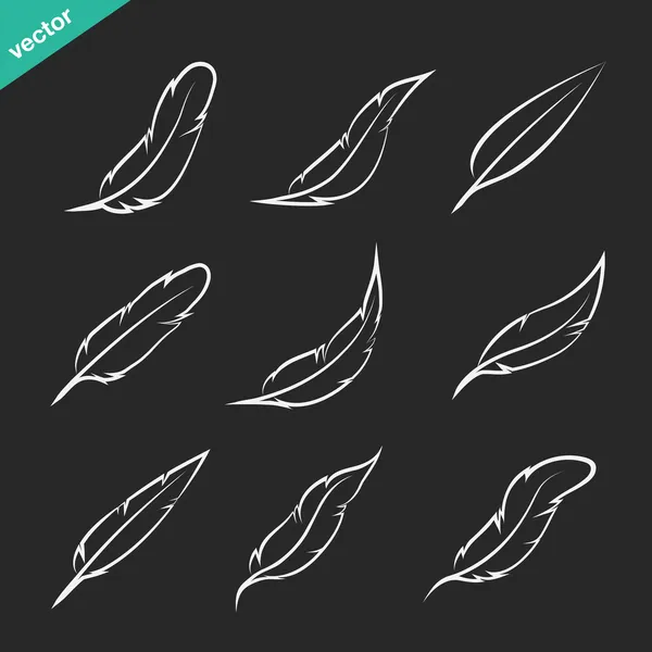 Vector group of feather — Stock Vector
