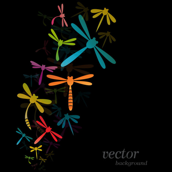 Dragonfly design on black background 