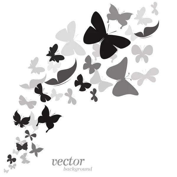 Diseño de la mariposa sobre fondo blanco — Vector de stock