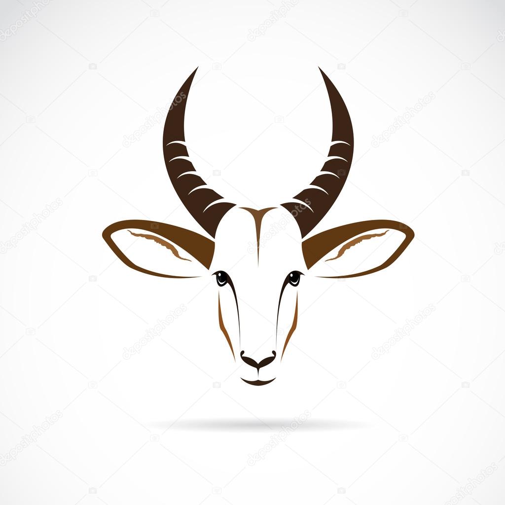 Vector image of an deer head (impala) 