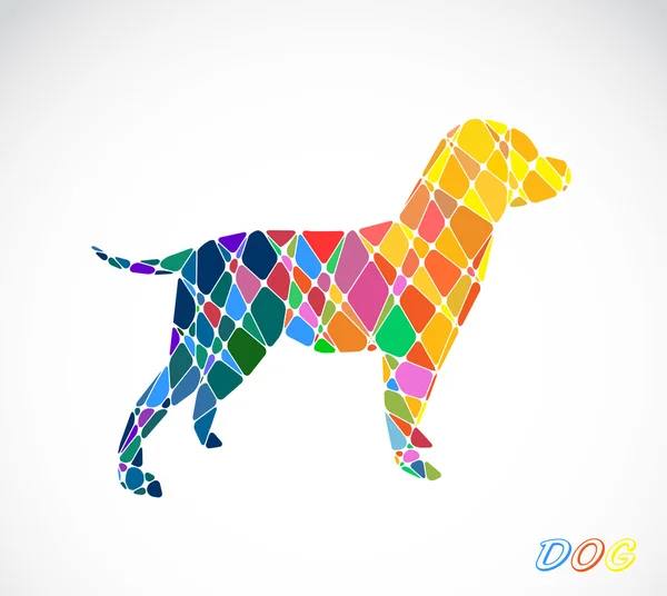 Labrador dog abstract isolated on a white backgrounds. — Stock Vector