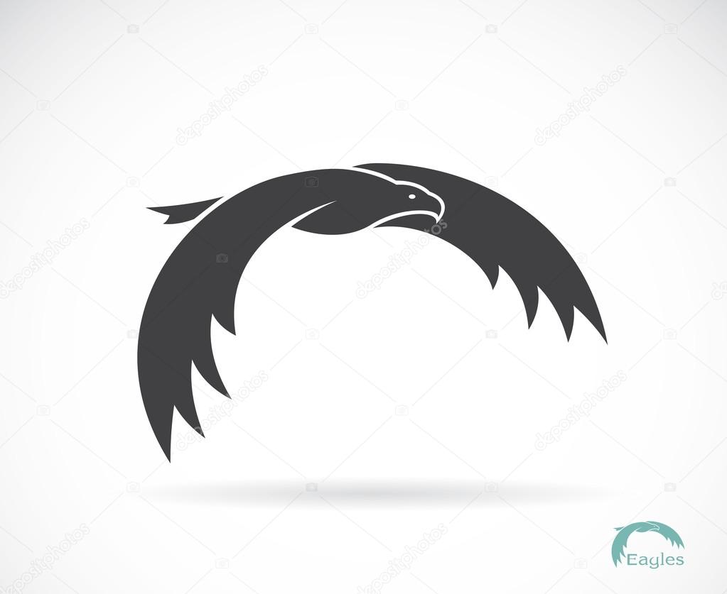 Vector image of an eagle design on white background