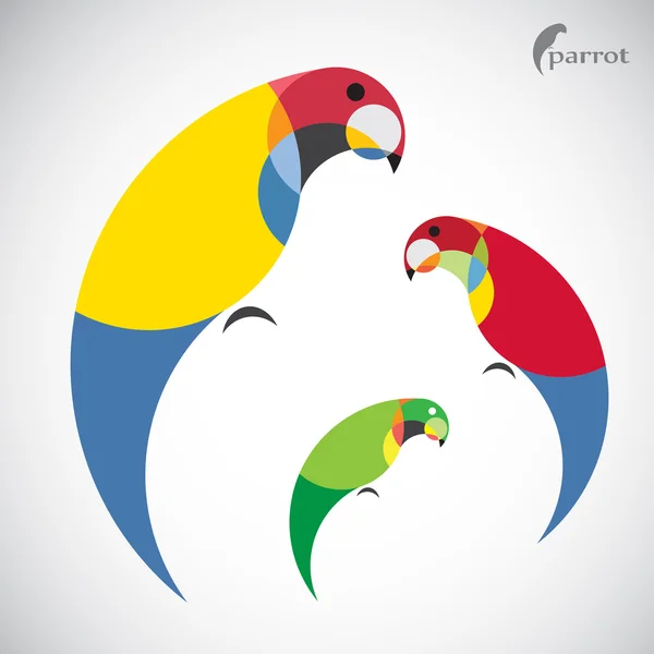 Vektorbild eines Papageien-Designs — Stockvektor