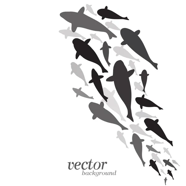 Design de peixe no fundo branco — Vetor de Stock