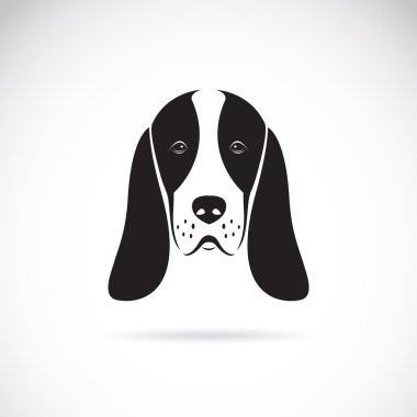 vektör görüntü bir basset hound baş 