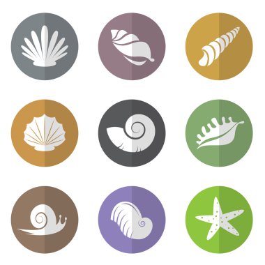 vektör grup kabuklu deniz hayvanları daire 