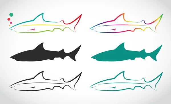 Grupo vectorial de tiburones — Vector de stock