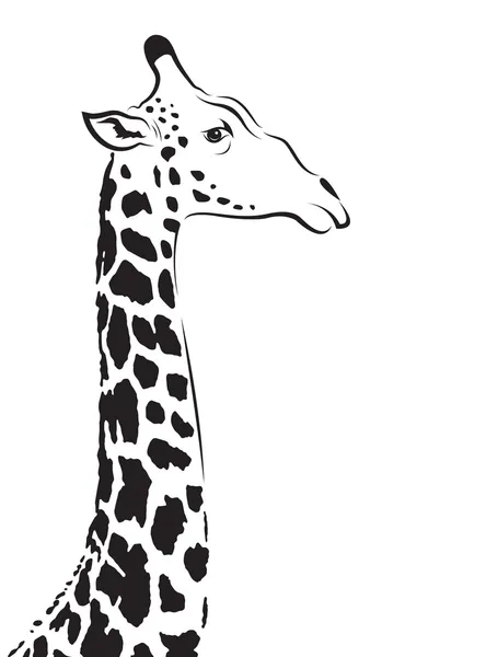 Image vectorielle d'une tête de girafe — Image vectorielle