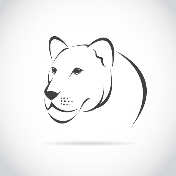 Векторное изображение головы льва
 