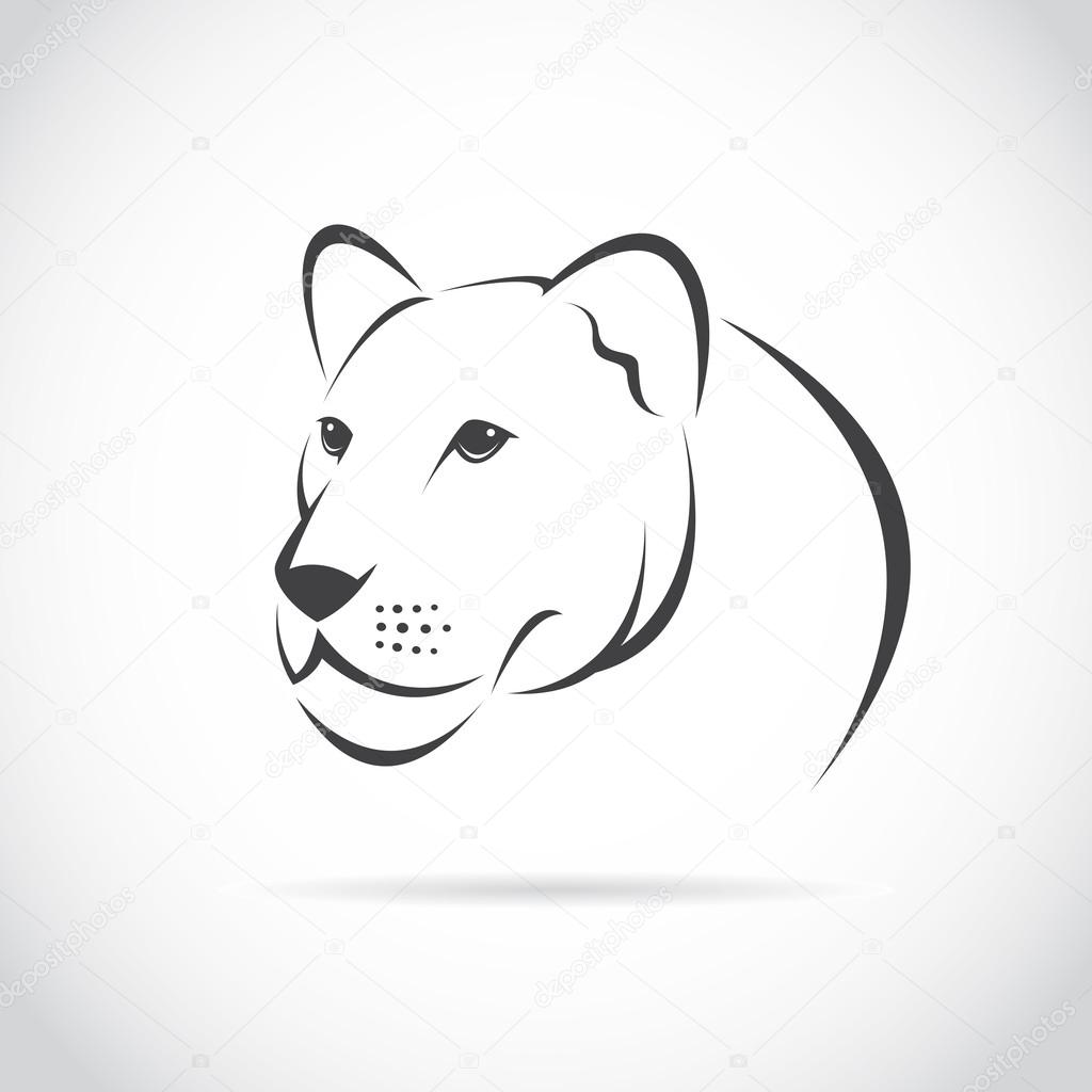Vector image of an female lion head 
