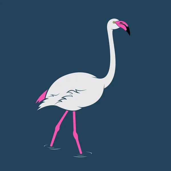Vektorbild eines Flamingos — Stockvektor