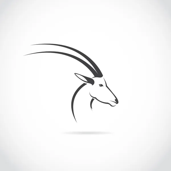 Imagen vectorial de una cabeza de ciervo (impala ) — Vector de stock