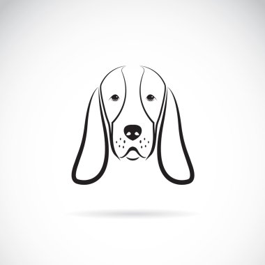 Vektör görüntü bir basset hound kafa 