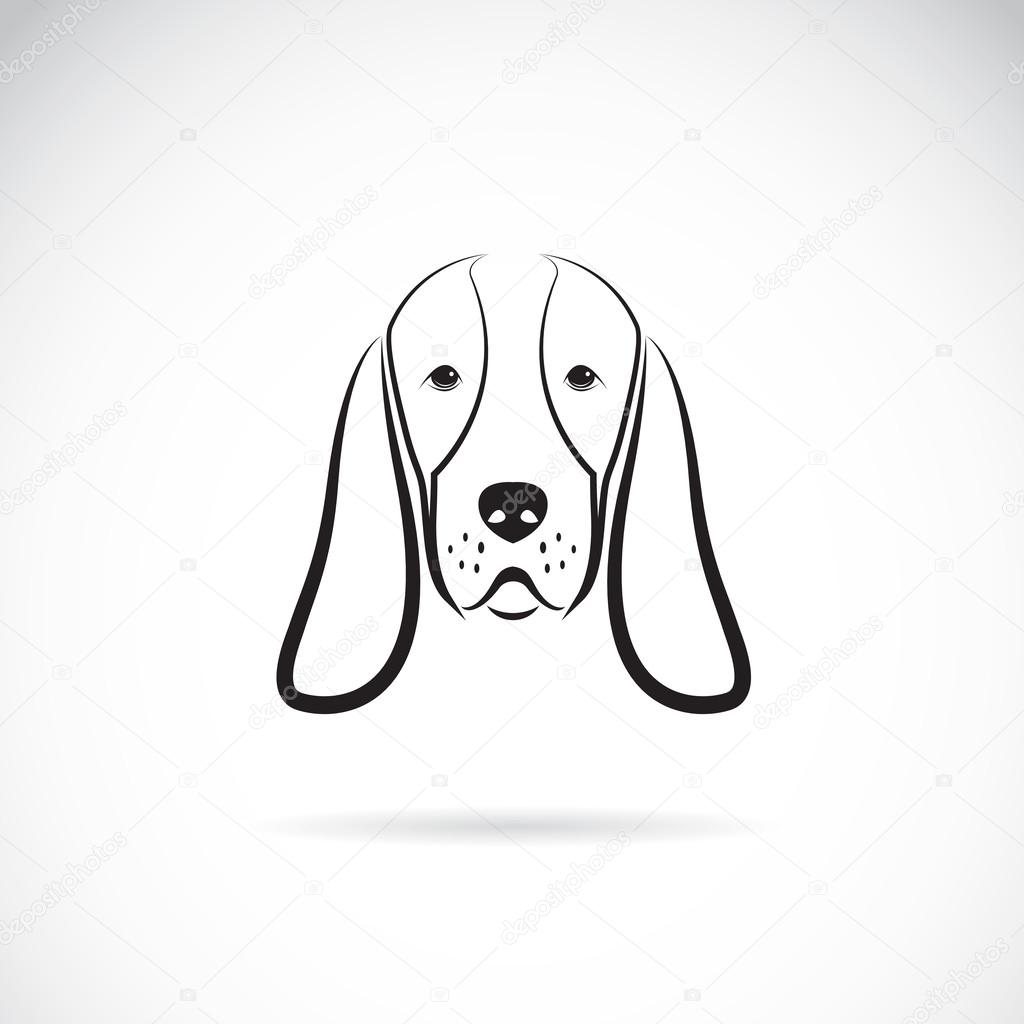 Vector image of a basset hound head 