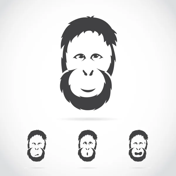 Imagen vectorial de la cara de orangután — Vector de stock