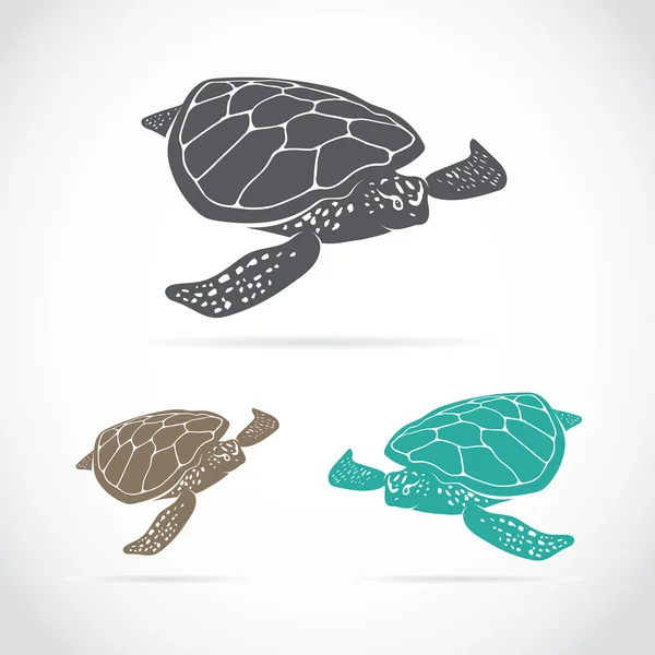 Vektorbild einer Schildkröte — Stockvektor