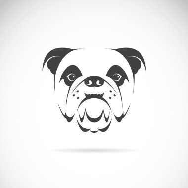 köpek suratı (bulldog vektör görüntü) 