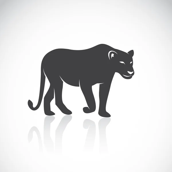 雌のライオンのベクトル画像 — ストックベクタ