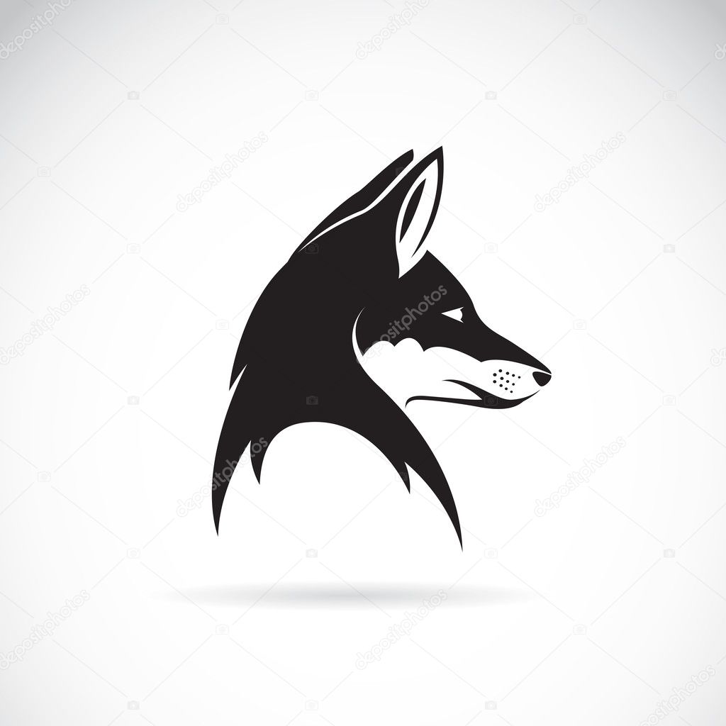 Vector image of an fox head 