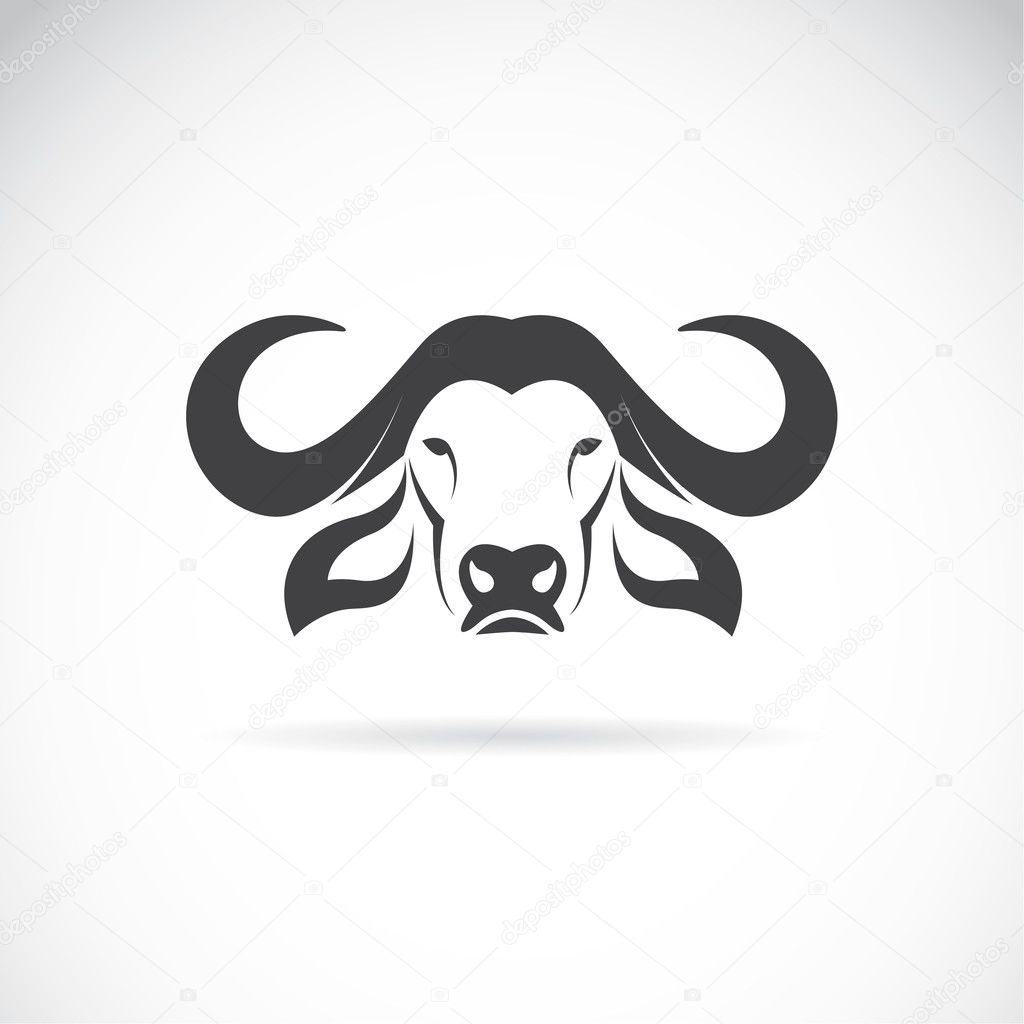 Vector image of an buffalo head 