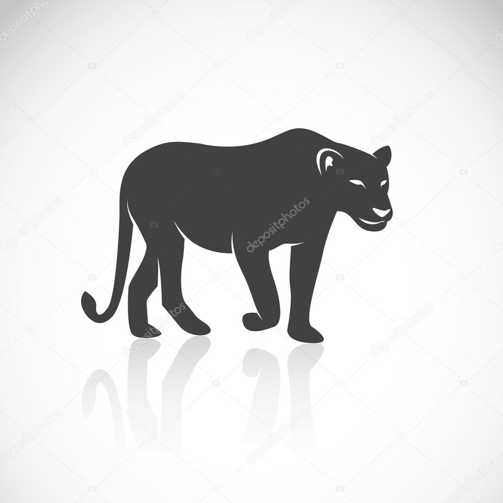 Vector image of an female lion 