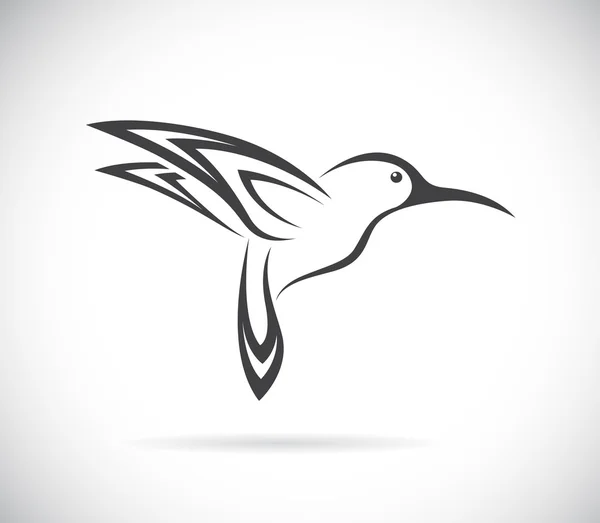 Imagen vectorial de un diseño de colibrí — Vector de stock