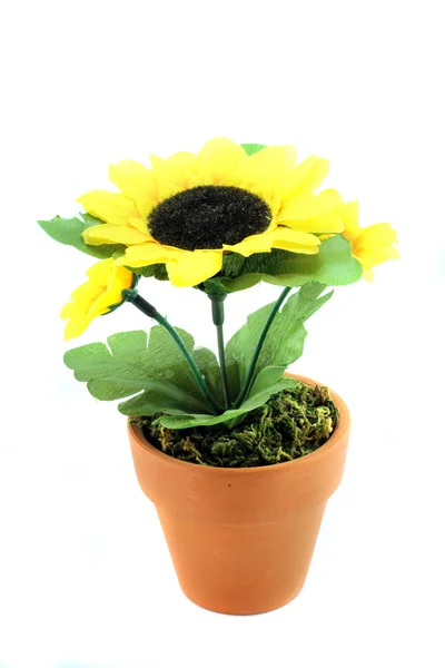 Fake-Sonnenblume in der Vase — Stockfoto