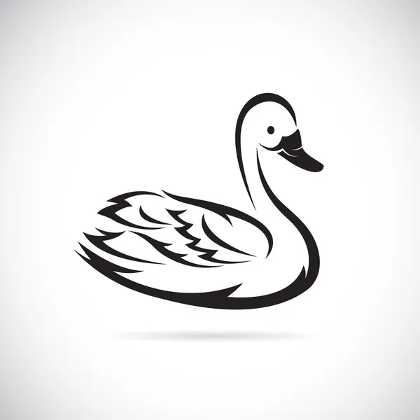 Grafiki wektorowe Swan — Wektor stockowy