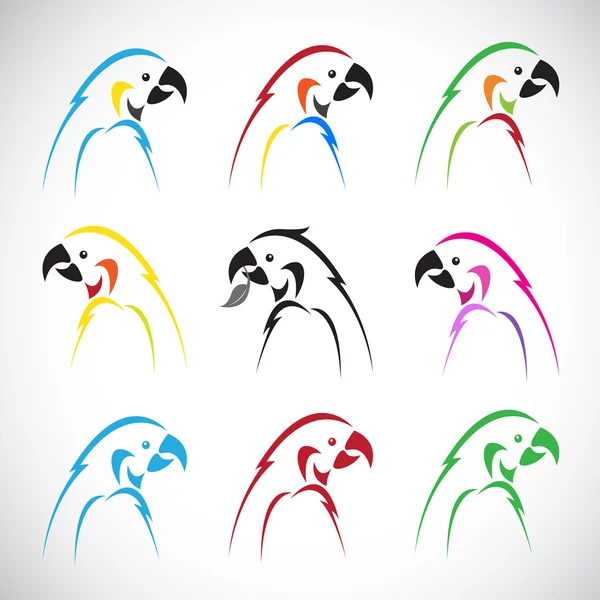 Vector images of group parrot — Stock Vector