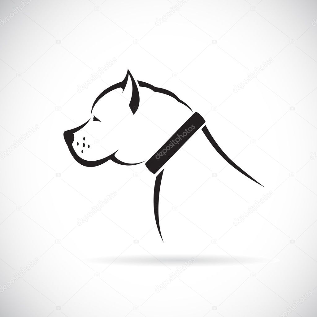 Vector images of Pitbull dog 
