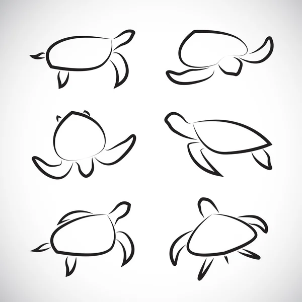 Grupo vectorial de tortugas — Archivo Imágenes Vectoriales