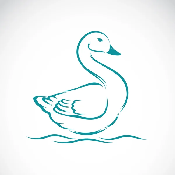 Imagen vectorial del cisne — Archivo Imágenes Vectoriales