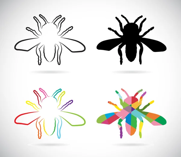 Imagen vectorial de un insecto — Archivo Imágenes Vectoriales