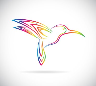 Vector image of an hummingbird design on white background clipart