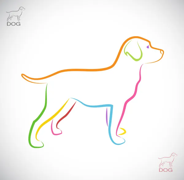 Vector afbeelding van een hond labrador — Stockvector