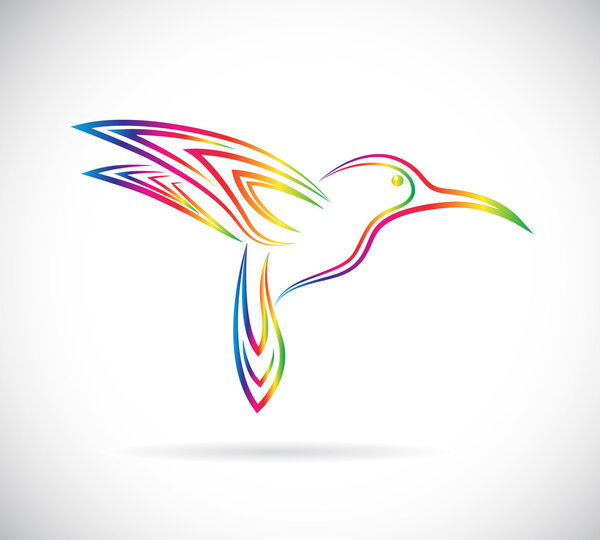 Vector image of an hummingbird design on white background