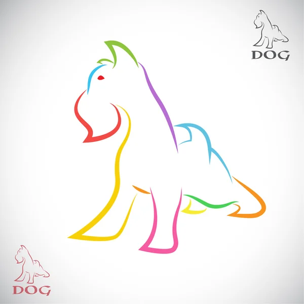 Image vectorielle d'un chien (Terrier irlandais ) — Image vectorielle